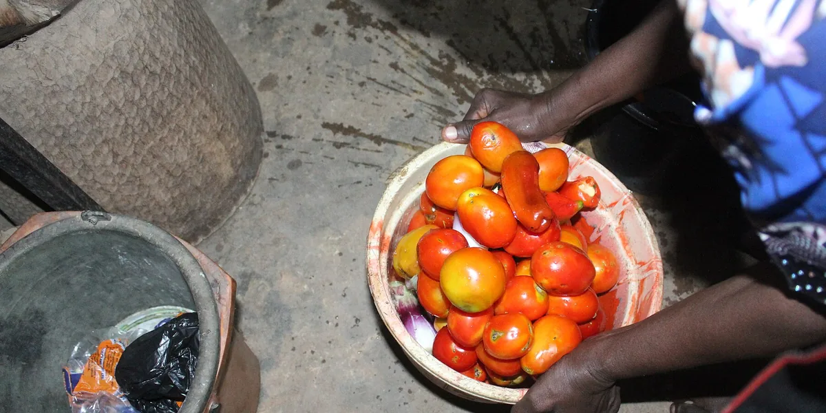 Cuenco de tomates frescos sostenido con las manos